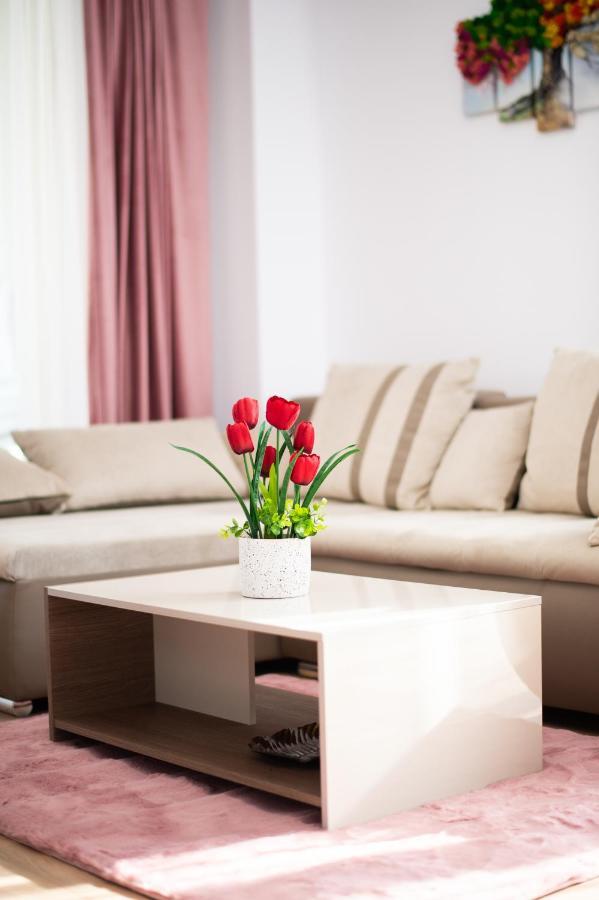 Claseb Apartment Temesvár Kültér fotó